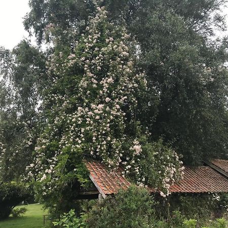 Le Jardin Sauvage Acomodação com café da manhã Maintenay Exterior foto